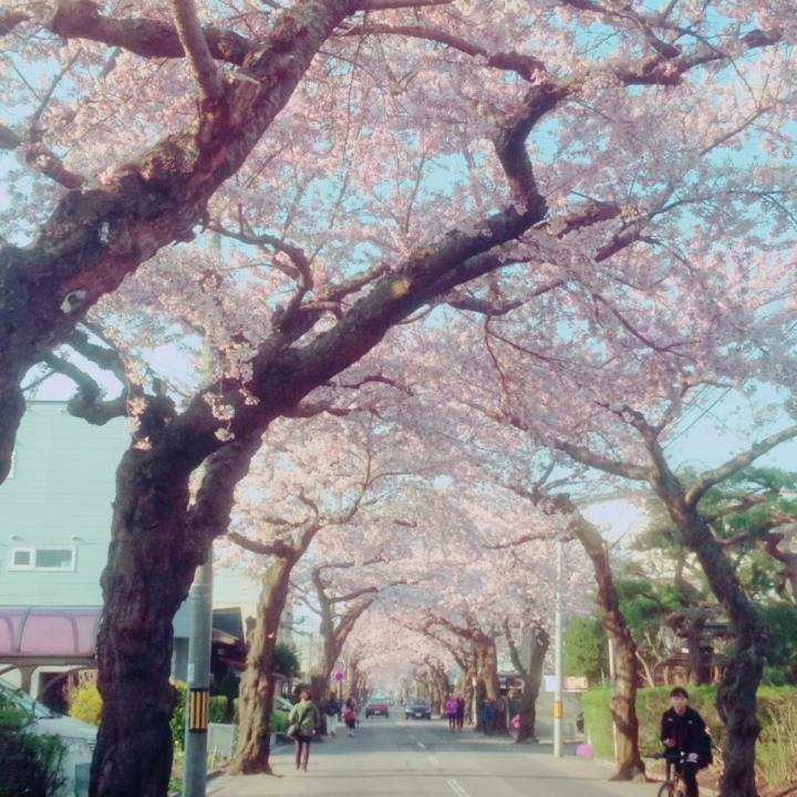 Stay Akeboshi Kan Hakodate Exterior photo